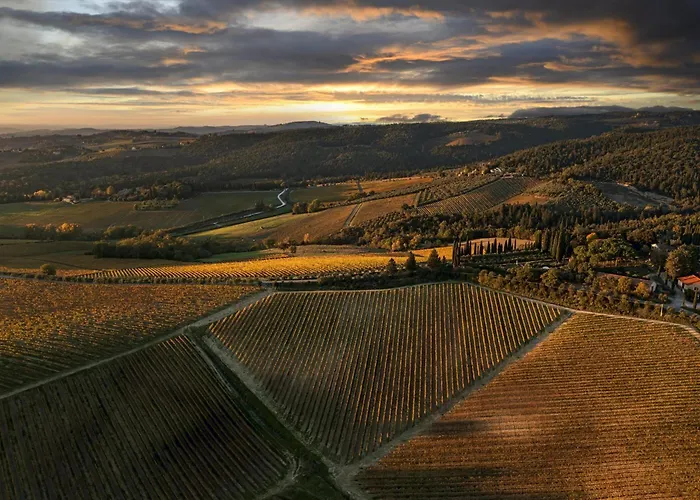 The Optimist's House דירה