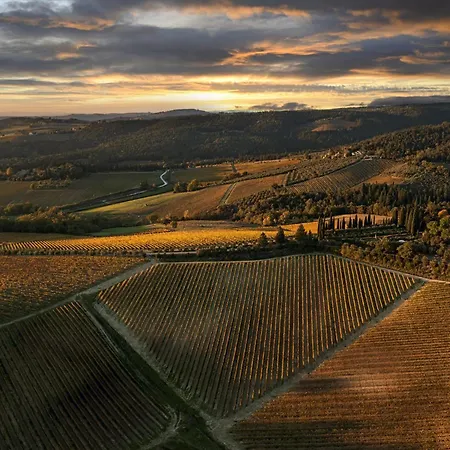 The Optimist's House アパート