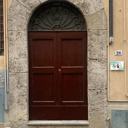 The Optimist's House